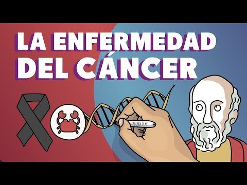 Las Fases del Cáncer Explicadas: Investigación Completa