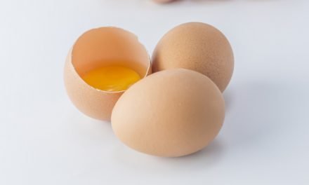 Salmonelosis y embarazo: ¡cuidado con la salmonella!