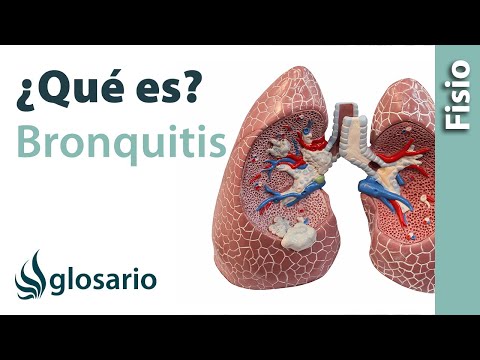 Explicando la Bronquitis: Cómo Evitar y Tratarla