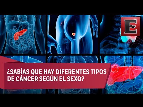 ¿Qué es el Cáncer? ¿Cuáles Son Sus Tipos?